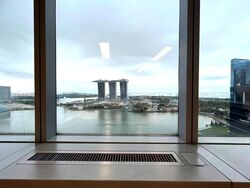 Income At Raffles (D1), Office #638100301